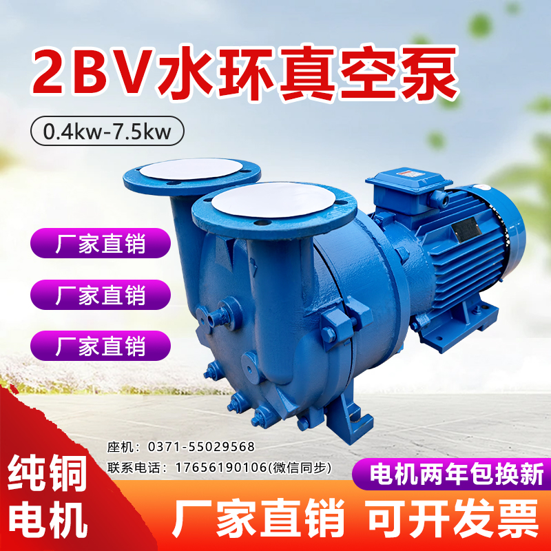 2BV水环真空泵